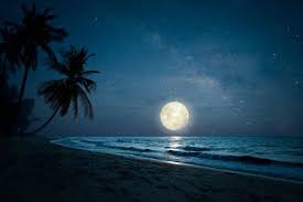 640 x 480 jpeg 69kb. 5 842 Full Moon Romantic Night Stock Photos And Images 123rf