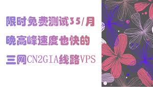 每月35晚高峰不降速的三网cn2gia线路vps book cover books development