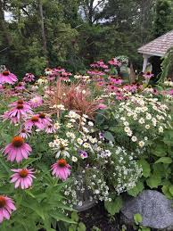 We did not find results for: Native Plants At Huntree