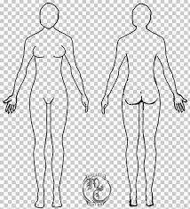 One method by which the location of the abdominal contents can be appreciated is to draw three horizontal and two vertical lines. Human Body Female Body Shape Diagram Drawing Template Png Clipart Abdomen Anatomy Arm Body Face Free