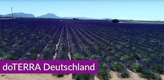 Claudia blumenthal (01 mar 2019). DÅterra Deutschland Doaromaterrapie