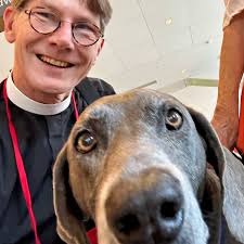 Grateful to Astro the service dog for the greatest #gc81 selfie. Bummed  that @GeorgeTDog can't come to General Convention with me