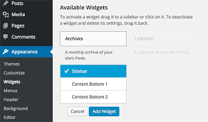 Widget adalah sebuah tool yang ada pada halaman web / blog untuk mempercantik, memperindah, dan membuat pembaca terkesan. Apa Kegunaan Widget Dan Bagaimana Menggunakan Widget Wordpress