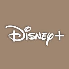 Disney Plus App Icon Snapchat Icon App Icon Inspiration App
