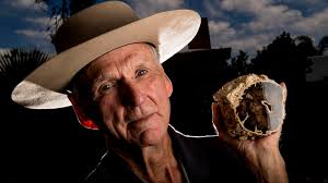 Brea botanist counts 10,000 pieces in his collection of petrified wood