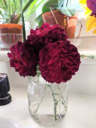 1 more photos view gallery. Munstead Wood Roses