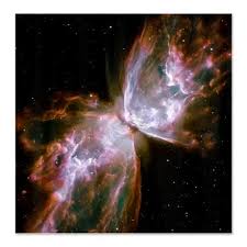 Butterfly Nebula Shower Curtain By Fantasyartdesigns Cafepress In 2021 Space Telescope Hubble Space Telescope Nebula