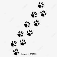 Creative Paw Prints Paw Clipart Animal Paw Prints Paw Png Transparent Clipart Image And Psd File For Free Download Paw Print Prints Paw