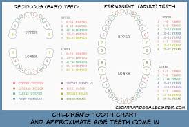 General Dentist Tooth Chart Www Bedowntowndaytona Com