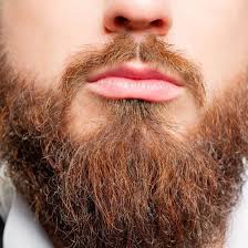 This Is The Reason Why Your Beard Is Ginger And Your Hair Isn T Hair And Beard Styles Beard Ginger Hair