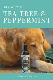 Cooling Usda Certified Organic Tea Tree Oil Dog Shampoo With Peppermint Organic Dog Shampoo Dog Shampoo Tea Tree Oil Dogs