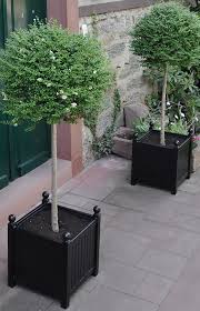 It can be filled with soil directly or with a liner, if preferred. Large Planter Based On The Planters Found In The Versailles Orangery
