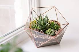 I put pieces of coffee filter over the indoor cactus gardens are easy to make but they do require a little finesse when planting. How To Make A Terrarium Build A Terrarium In 6 Steps