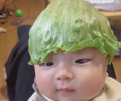 + body & hair care. I Hope You Are All Having A Good Day Here Is A Baby With A Lettuce Leaf On Its Headhttps I Redd It Y3v0h Baby Love Quotes Baby Love Hair Care Products Online