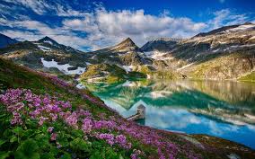 Panoramic Spring Wallpapers Wallpaper Cave