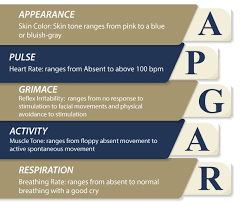 Image result for APGAR Score