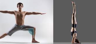 These yoga poses can help you improve strength, mobility, mental strength and so much more. Beyond Yoga Alignment Biomechanics Posture And Performance Jules Mitchell Yoga