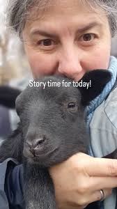 Baron and family having breakfast 😋 #ewemasya #ukraine #sheeptherapy