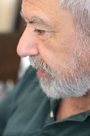 Smile silver barb stock image. Image of look, lifestyle