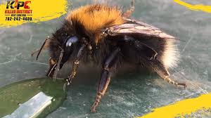Killer Instinct Pest Control Don T Worry Your Workday Is Almost Over Facebook