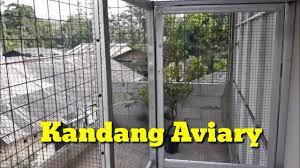 Kandang ternak murai sangat minimalis: Cara Membuat Kandang Aviary Mudah Dan Murah Youtube