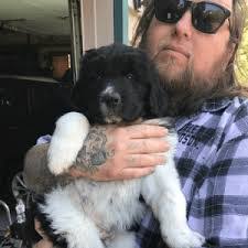 Chris Wagman's Instagram, Twitter & Facebook