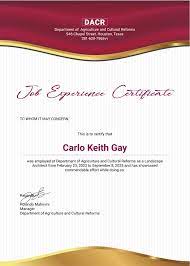 Free Job Experience Certificate Template Word Doc Psd Apple Mac Pages Google Docs Illustrator Publisher Outlook Certificate Templates Certificate Of Recognition Template Certificate Of Achievement Template