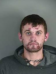 Inmate Name ROOK, JAMES DEAN Age 22 Sex Male Location Lane County Jail  Booking Date 11/15/2016 6:19:00 AM Inmate Charges 1. #164.045 THEFT 2ND DEG 