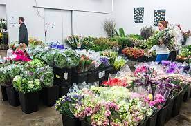 Check spelling or type a new query. Tesselaar Flower Markets Tesselaar Flowers