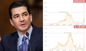 Former FDA head predicts 'peak' in COVID cases in late August or early  September as infections rise