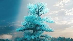1360x768 Peace Tree Laptop Hd Hd 4k Wallpapers Images Backgrounds Photos And Pictures Here are only the best peaceful desktop wallpapers. 1360x768 peace tree laptop hd hd 4k