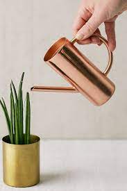 Slide View 1 Roxy Rose Gold Mini Watering Can In 2021 Mini Watering Can Watering Can Gold Home Accessories