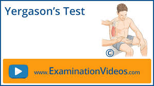 Image result for Yergason Test