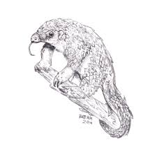 May 19, 2021 · to trace this illicit system from consolidation hubs in west and central africa to china's consumer markets, tipping the scales analyses 899 pangolin seizures. Pangolin The Scaly Anteater Art By Breah