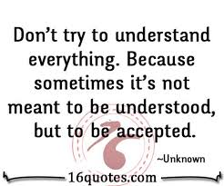 Don T Try To Understand Everything Because Sometimes It S Not Meant To Be Understood But To Be Accepted