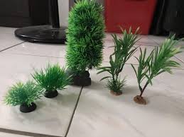 Check spelling or type a new query. Pokok Hiasan Plastik Untuk Aquarium Pet Supplies Pet Accessories On Carousell