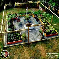 Backyard Amazing Gardenamazing Backyard Garden Vegetable Garden Design Outdoor Gardens Plants