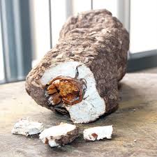 Image result for Cocos