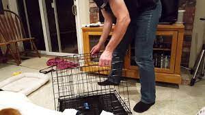 Crate training creates a safe environment for your dog that teaches them responsibility and independence. How To Collapse And Setup A Dog Crate Youtube
