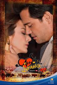 Amor Bravio Mexico Chile 2012 Silvia Navarro Cristian De La Fuente Cuando Me Enamoro Novela Novelas Libro Electronico