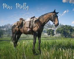 It's classed as a race horse, with a race handling type. My New Favourite Horse Sooty Buckskin Dutch Warmblood Ain T She A Beaut Reddeadonline