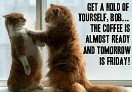Many of these quotes are from people you will probably recognize, and they will add some humor to your quotes about hating your job about half of all workers are unhappy with their jobs, for a variety of reasons, including bad bosses, annoying. 80 Funny Thursday Memes Images Pictures Photos
