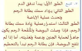 تتبع مراحل دورة الحيض باستخدام الرسوم التوضيحية موقع خطواتي