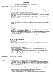 Executive management consultant resume free pdf. Recruitment Consultant Resume Samples Velvet Jobs