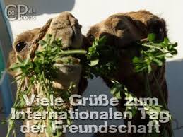 Das sind aristoteles historische worte über freunde, die unser leben oft mit vielen schönen und auch unvergesslichen momenten bereichern. Coolphotos De Internationaler Tag Der Freundschaft 30 7