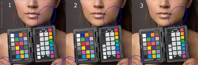 Colorchecker How To Get Perfect Skin Colors With Every Camera