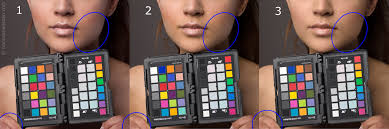 Colorchecker How To Get Perfect Skin Colors With Every Camera