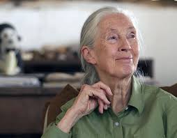 Douglas & McIntyre (@douglasmcintyre2013) • Instagram photos and videos