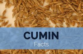 Di tamil ia dikenali sebagai parotta. Cumin Facts And Nutritional Value