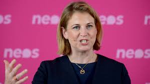 She is also the leader of the party's parliamentary group in the national council since 2018. Mitgliederversammlung Meinl Reisinger Ubt Kritik An Regierung Non At